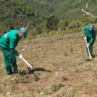 Alumnos del programa en el monte de Puente de Rey.