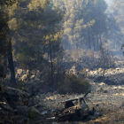 Vista de una zona afectada por el incendio.