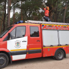 Los bomberos retiran un nido de procesionaria. DL