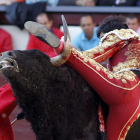 Perera sufre un revolcón en la faena con la muleta.