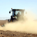 La falta de agua empieza a ser preocupante en algunas zonas de León donde se cultiva en secano. MARCIANO PÉREZ