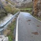 Los restos de ramas en la carretera dejan patente las zonas que fueron cubiertas por las aguas