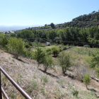 Los huertos urbanos de Ponferrada se abrirán en esta zona de Las Quintas.