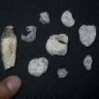 Los restos fósiles encontrados en un yacimiento de Etiopía