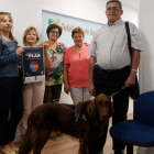 Ana Agúndez, presidenta del Teléfono de la Esperanza, con otras voluntarias y el psicólogo Domingo F. García y su perro guía Son. FERNANDO OTERO