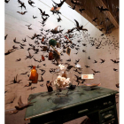 jesús f. salvadores