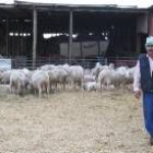 Pedro Fernández, junto a las ovejas de su explotación en la época de la que procede el juicio