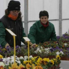 Asprona Bierzo construirá el centro de día en el poblado de Compostilla