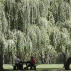 El parque de La Candamia es la gran zona de esparcimiento de la capital. JESÚS F. SALVADORES