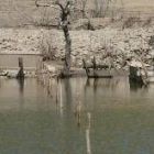 Imagen de un extremo del embalse de Riaño, próximo al lugar donde aparecieron muertos los cangrejos