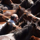 Un ‘aloitador’ trata de inmovilizar a una res de la manada de caballos salvajes para cortarle las crines durante la tradicional ‘Rapa das Bestas’. X. REY