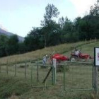 Tareas de recogida y almacenaje de hierba en los Picos de Europa leoneses
