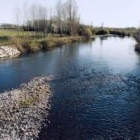 El río Esla a su paso por las inmediaciones de Gradefes