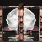 Imagen del museo Wellcome Collection de una de las representaciones de un cerebro que reúne la exposición "Cerebros: la mente como materia". EFE