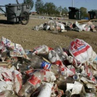 Los servicios de limpieza se afanaron en dejar limpia la zona del río afectada por el botellón.