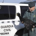 GUARDIA CIVIL