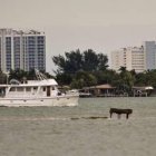El piano de cola que apareció esta semana en un banco de arena en aguas de la bahía de Cayo Vizcaíno
