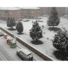 Nieve caída ayer a primera hora en Cistierna. CAMPOS