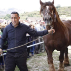 Uno de los ejemplares de ganado equino con los que concursó Ganados Colodrón. CAMPOS