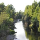 Imagen del caudal del río Bernesga donde la CHD invertirá más de un millón de euros.