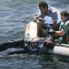 Agentes de la Guardia Civil sacan del agua el cuerpo de uno de los fallecidos