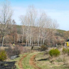 Una de las rutas verdes existentes en San Andrés del Rabanedo.