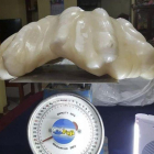 La supuesta perla de 34 kilos.