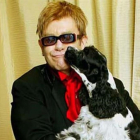 Elton John con su perro.