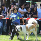 El parque acogió durante todo el día actividades con perros. LDM