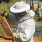 Imagen de un apicultor en San Clemente. L. DE LA MATA