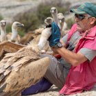 Manuel Aguilar muestra a los turistas el comportamiento de los buitres. JAVIER CEBOLLADA