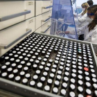Planta de los Laboratorios Almirall en Sant Feliu de Llobregat.