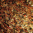 Una multitud celebra la ceremonia que marca el final de los Sanfermines.