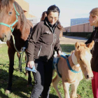 El potro ya dio ayer su primer paseo por el campus. DL