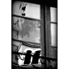 La foto De la ventana al cielo logró el primer premio