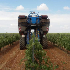 Una máquina vendimiadora trabajando ayer en un viñedo de la bodega Meóriga de Mayorga. DL