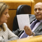 Báñez y Wert, en la sesión de control al Gobierno.