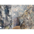 La huella de un dinosaurio de 115 millones de años antes del ataque (izq) y después del acto vandálico en Flat Rocks Benurong Marine Park, Victoria (Australia).