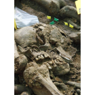 Esta calavera muestra indicios de haber sido golpeada.
