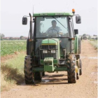 Un tractor en una vía agrícola de la vega del Esla.