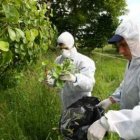 Técnicos encargados por la Junta de inspeccionar los frutales de la comarca, en plena revisión el añ