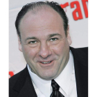 El actor James Gandolfini era Tony Soprano.