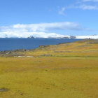 Territorio cubierto por musgos en la Isla Green (o Verde), en la península Antártica, con icebergs al fondo.