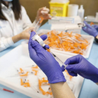 Sanitarias leonesas preparan dosis de vacunas anticovid. MARCIANO PÉREZ