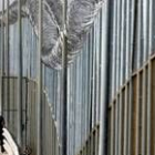 Un guardia español vigila frente a la frontera entre Melilla y y la provincia marroquí de Nador