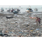 Basura marina. Acumulación de plásticos y otros residuos flotantes en una zona portuaria cercana a la ciudad india de Bombay.