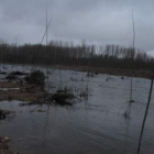 El alcalde, Pedro Vidal, explica el problema, junto a la finca de propiedad municipal inundada