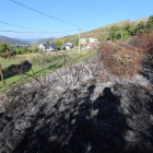 Zona de maleza que ardió en La Granja donde se produjo la agresión al agente. L. DE LA MATA