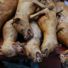 Imagen de archivo de preparativos para el festival de Carne de Perro de Yulin.