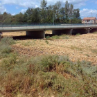 Las zayas están secas desde que la CHD cerrara el paso para garantizar el caudal del Duerna. DL